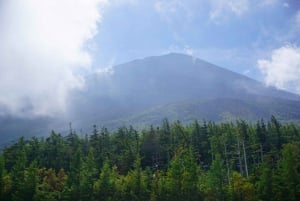Tokio: Wycieczka na górę Fuji i do Hakone z kolejką linową i rejsem