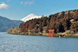Tokyo: Fuji-fjellet og Hakone-tur med taubane og cruise