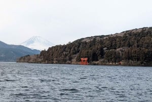 Tokyo: Fuji-fjellet og Hakone-tur med taubane og cruise