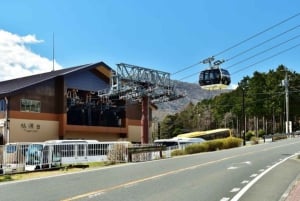 Tokyo: Fuji-fjellet og Hakone-tur med taubane og cruise