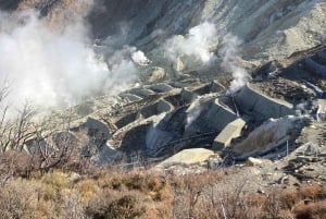 Tokyo: Fuji-fjellet og Hakone-tur med taubane og cruise