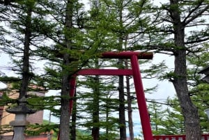 Tokyo: Fuji-fjellet og Hakone-tur med taubane og cruise