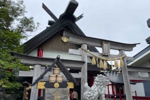 Tokyo: Fuji-fjellet og Hakone-tur med taubane og cruise