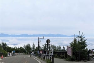 Tokyo: Fuji-fjellet og Hakone-tur med taubane og cruise