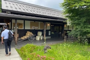 Tokyo: Fuji-fjellet og Hakone-tur med taubane og cruise