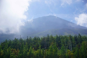 Tokyo: Fuji-fjellet og Hakone-tur med taubane og cruise