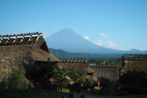 Tokio: excursión al monte Fuji y al lago Kawaguchiko con almuerzo