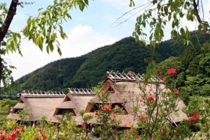 Tokio: excursión al monte Fuji y al lago Kawaguchiko con almuerzo