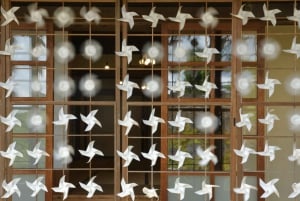 Tokio: excursión al monte Fuji y al lago Kawaguchiko con almuerzo