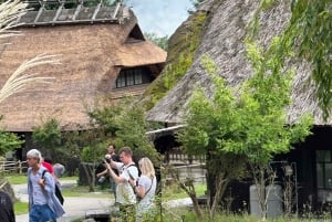 Tokio: excursión al monte Fuji y al lago Kawaguchiko con almuerzo