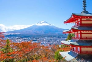 Tokyo: Mt Fuji, Arakura Sengen Park, Oshino Hakkai Bus Tour