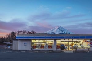 Tokyo: Mt Fuji, Arakura Sengen Park, Oshino Hakkai Bus Tour