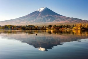 Tokyo: Mt Fuji, Arakura Sengen Park, Oshino Hakkai Bus Tour