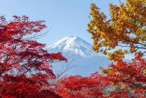 Tokyo: Mt Fuji, Arakura Sengen Park, Oshino Hakkai Bus Tour