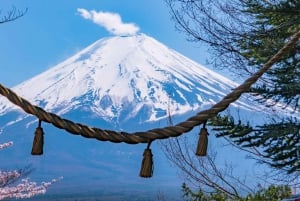 Tokyo: Mt Fuji, Arakura Sengen Park, Oshino Hakkai Bus Tour