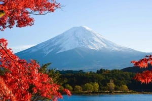 Tokyo: Mt Fuji, Arakura Sengen Park, Oshino Hakkai Bus Tour