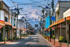 Tokyo: Mt Fuji, Arakura Sengen Park, Oshino Hakkai Bus Tour