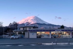 Tokyo: Mt Fuji, Arakura Sengen Park, Oshino Hakkai Bus Tour