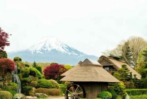 Tokyo: Mt Fuji, Arakura Sengen Park, Oshino Hakkai Bus Tour