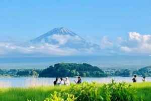 Tokyo: Mt Fuji, Arakura Sengen Park, Oshino Hakkai Bus Tour