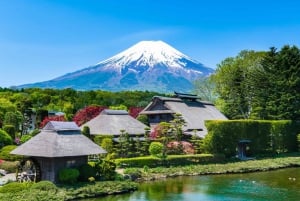 Tokyo: Mt. Fuji, Arakurayama Sengen Park, Oshino Hakkai Tour