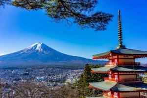 Tokyo: Mt. Fuji, Arakurayama Sengen Park, Oshino Hakkai Tour