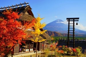 Tokyo: Mt. Fuji, Arakurayama Sengen Park, Oshino Hakkai Tour