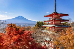 Tokyo: Mt. Fuji, Arakurayama Sengen Park, Oshino Hakkai Tour