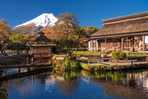 Tokyo: Mt. Fuji, Arakurayama Sengen Park, Oshino Hakkai Tour