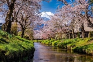 Tokyo: Mt. Fuji, Arakurayama Sengen Park, Oshino Hakkai Tour