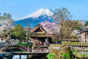 Tokyo: Mt. Fuji, Arakurayama Sengen Park, Oshino Hakkai Tour