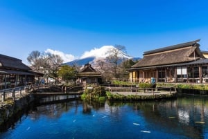 Tokyo: Mt. Fuji, Arakurayama Sengen Park, Oshino Hakkai Tour