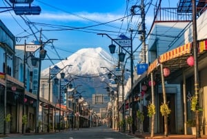 Tokyo: Mt. Fuji, Arakurayama Sengen Park, Oshino Hakkai Tour