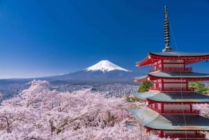 Tokyo: Mt. Fuji, Arakurayama Sengen Park, Oshino Hakkai Tour