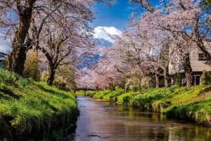 Tokyo: Mt. Fuji, Arakurayama Sengen Park, Oshino Hakkai Tour