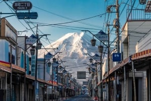 Tokio: Mt. Fuji, Arakurayama Sengen Park, Oshino Hakkai Tour