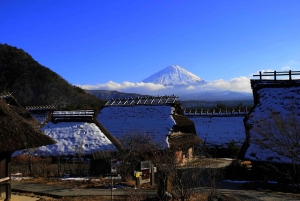 Tokio: Sengen-puisto, Oshino Hakkai Tour