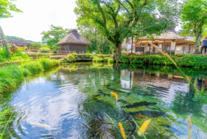 Tokio: Sengen-puisto, Oshino Hakkai Tour