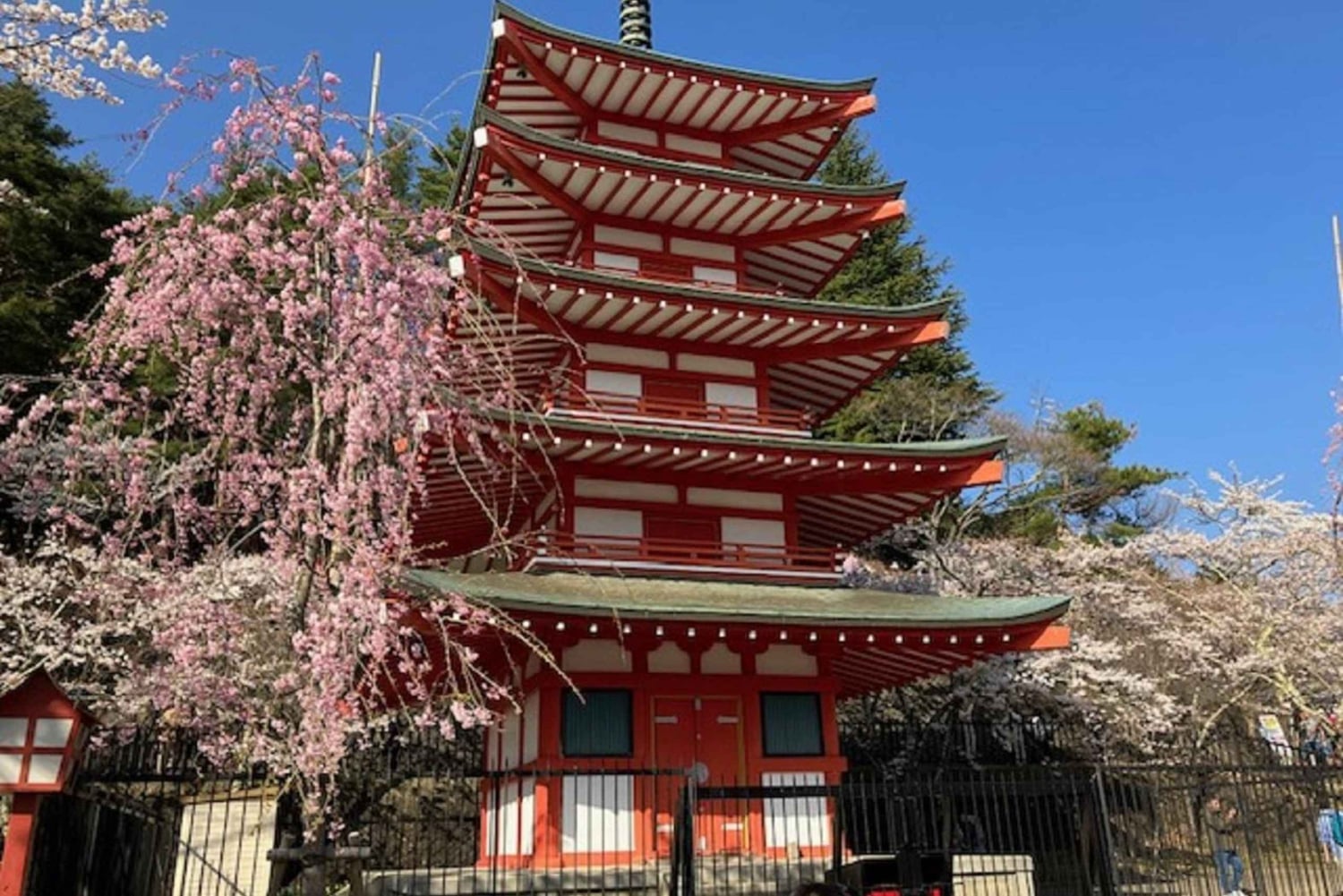 Токио: экскурсия по горе Фудзи с традиционным обедом