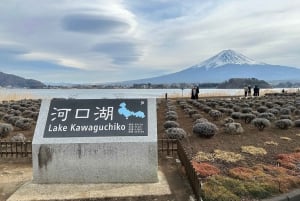 Tokio: Geführte Tour durch das Mt. Fuji Gebiet mit traditionellem Mittagessen