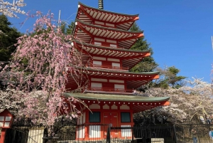 Tokio: Geführte Tour durch das Mt. Fuji Gebiet mit traditionellem Mittagessen