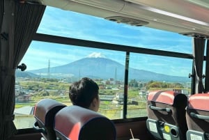 Tokio: Geführte Tour durch das Mt. Fuji Gebiet mit traditionellem Mittagessen