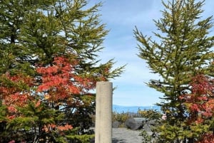 Tokio: Geführte Tour durch das Mt. Fuji Gebiet mit traditionellem Mittagessen