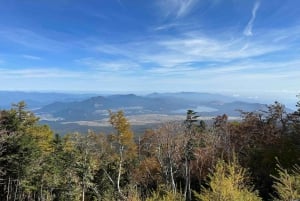 Tokio: Geführte Tour durch das Mt. Fuji Gebiet mit traditionellem Mittagessen