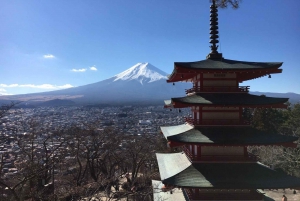 Tokio: Geführte Tour durch das Mt. Fuji Gebiet mit traditionellem Mittagessen