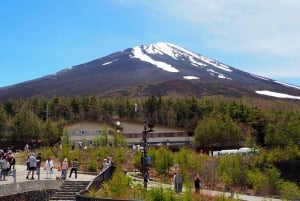 Tokio: Geführte Tour durch das Mt. Fuji Gebiet mit traditionellem Mittagessen