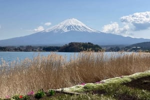 Tokio: Geführte Tour durch das Mt. Fuji Gebiet mit traditionellem Mittagessen