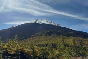 Tokio: Geführte Tour durch das Mt. Fuji Gebiet mit traditionellem Mittagessen