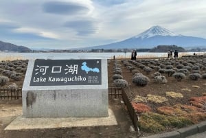 Токио: экскурсия по горе Фудзи с традиционным обедом