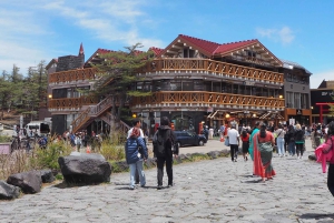 Токио: экскурсия по горе Фудзи с традиционным обедом